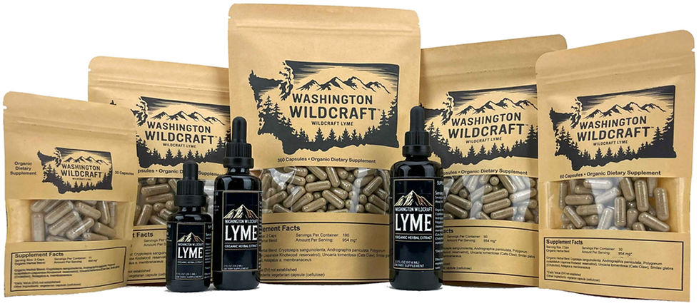 Product Lineup